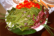 Garden fresh green beans