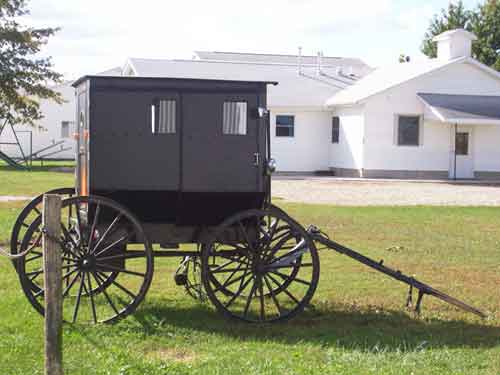Amish Buggy, Arthur, IL