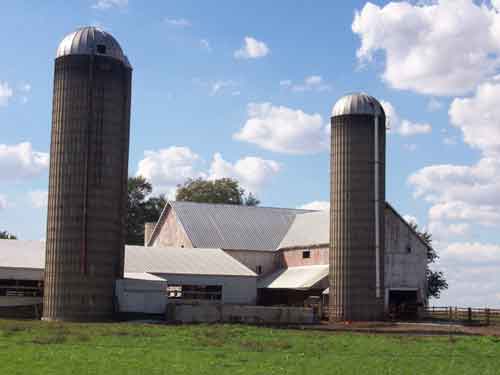 Amish Dairy Farm - Arthur