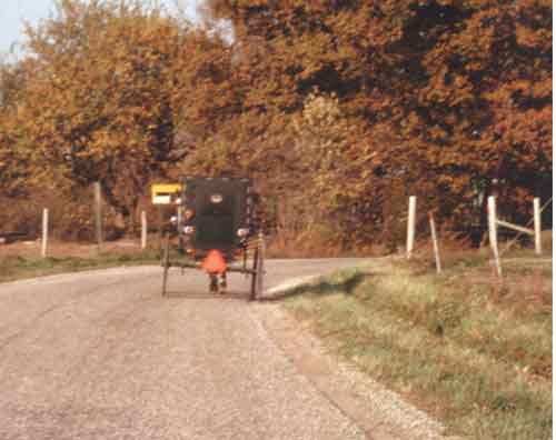 Fall Buggy, Arthur, IL